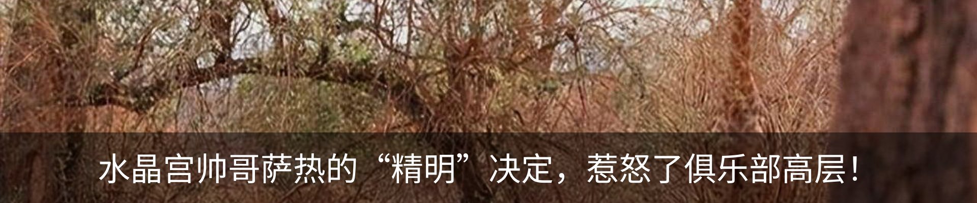 最新动态