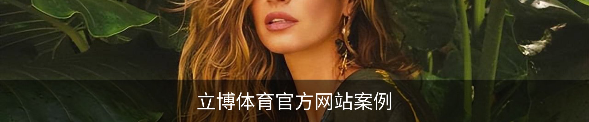 立博体育官方网站案例